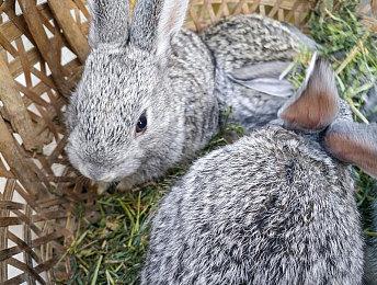 《勇者斗恶龙宝藏》14弹短片 12月9日NS发售